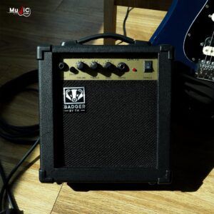 แอมป์ BADGER GA-10