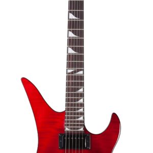 กีต้าร์ไฟฟ้า Schecter Zacky Vengeance ZV 6661 Arti