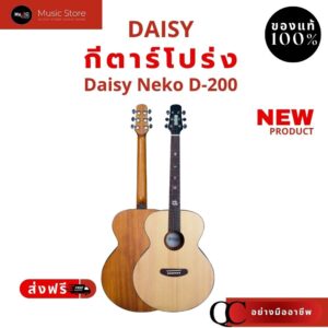 DAISY กีต้าร์โปร่ง 41 นิ้ว รุ่น NEKO